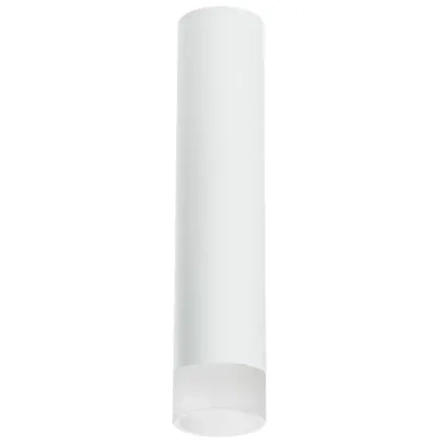 R49631 Светильник RULLO HP16 (214496+202431)