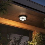 Уличный потолочный светильник Arte Lamp PEGASUS A3100PL-1BK, 1хE27