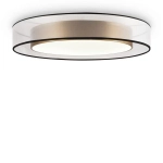 Потолочный светильник Zoticus FR6005CL-L48G, LED. TM Maytoni