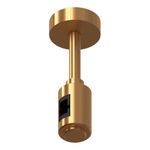 ST026.202.00 Крепление с одиночным фиксатором ST-Luce Золотистый