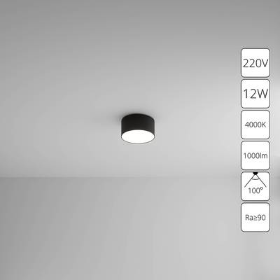 Потолочный светильник Arte Lamp FADO A6612PL-1BK, 1хLED