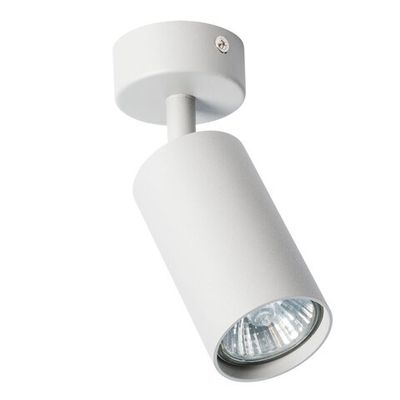 Спот Arte Lamp AQUARIUS A3216PL-1GY, 1хGU10