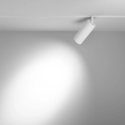 Трековый светильник Фокус / Focus Led Exility 2700-6000K 20Вт 36° Dim Smart Zigbee, TR032-4-20WTW-M-DSZ-W. TM Maytoni