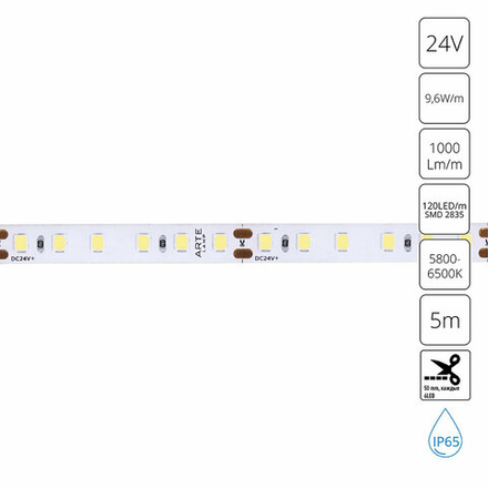 Светодиодная лента 24V 9,6W/m 6000К 5м Arte Lamp AQUA TAPE A2412008-06-6K, LED