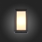 SL077.411.01 Светильник уличный настенный ST-Luce Черный/Белый LED 1*6W 3000K