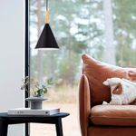 SLE1255-423-03 Светильник подвесной Черный/Черный E27 3*40W