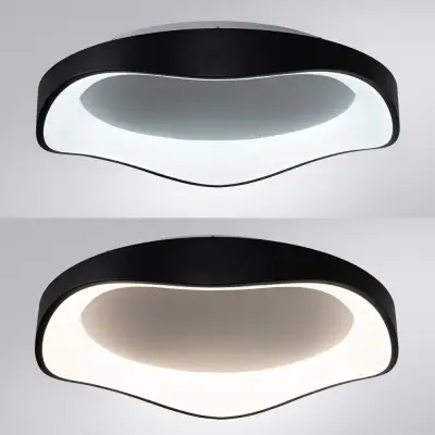 Потолочный светильник Arte Lamp ANKAA A3085PL-56BK, 1хLED