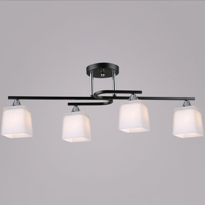 06194-0.3-04 BK+CH светильник потолочный