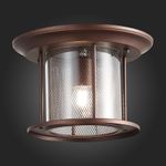 SL080.402.01 Светильник уличный потолочный ST-Luce Темный кофе/Прозрачный, Темный кофе E27 1*60W