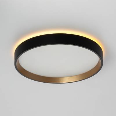 Citilux ETALON CL750241 LED Светильник с подсветкой Чёрный+Золото