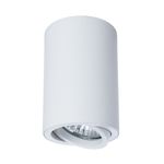 Точечный накладной светильник Arte Lamp SENTRY A1560PL-1WH, 1хGU10