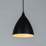 Подвесной светильник Arte Lamp LARK A7075SP-1BK, 1хE14