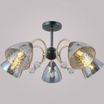 IL0230-5CSQ-29 BK AB светильник потолочный