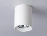 Светильник накладной TN213136 WH белый GU10 max 12W D80*100