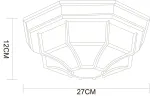 Уличный потолочный светильник Arte Lamp PEGASUS A3121PF-1WG, 1хE27