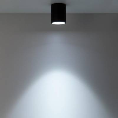 Citilux Старк CL7440110 LED Светильник накладной Чёрный Белый