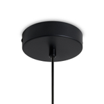 Подвесной светильник Mixture FR5483PL-01B2, E27х1. TM Maytoni