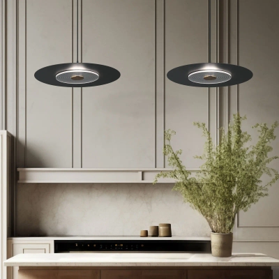 Подвесной светильник с металлическим плафоном 40030/1 LED / черный, LED