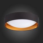 SLE201102-01 Светильник потолочный Черный, Золото/Белый LED 1*24W 4000K