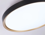 Потолочный светодиодный светильник FZ1249 BK/GD черный/золото IP54 45W 5000K D480*60 (Без ПДУ)