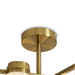 Подвесной светильник Kamelia FR5446PL-06BS, E14х6. TM Maytoni