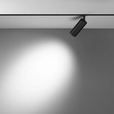 Трековый светильник Фокус / Focus Led Exility 2700-6000K 12Вт 36° Dim Dali1, TR032-4-12WTW-S-DD-B. TM Maytoni