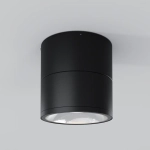 Уличный потолочный светильник Спин / Spin 3000К 12Вт IP54, O310CL-L12GF3K. TM Maytoni