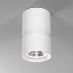 Светильник накладной светодиодный Kayo 12W 4000К белый 25049/LED