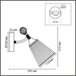 8046/1W CLASSI LN латунь/прозрачный, металл/стекло Бра E14 40W 220V AURICA