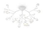 Потолочный светильник Florencia FR5049CL-36W1, G4х36. TM Maytoni