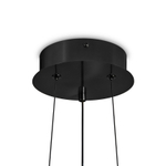 Подвесной светильник Citrus FR5398PL-L8B, LED. TM Maytoni