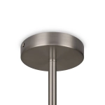Подвесной светильник Amoris FR5281PL-L10N, LED. TM Maytoni
