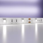 Светодиодная лента 12В 5050 7,2Вт/м 6000K 5м IP20, 10122. TM Maytoni