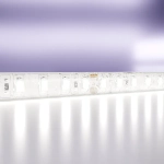 Светодиодная лента 24В 2835 9,6Вт/м 6000K 5м IP65, 10147. TM Maytoni