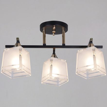 46460-0.3-03 BK+FG светильник потолочный