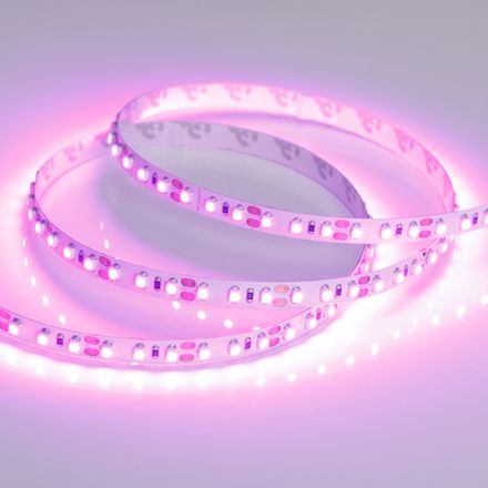 Светодиодная лента RT-A120-8mm 12V Pink (9.6 W/m, IP20, 2835, 5m) (Arlight, Открытый)