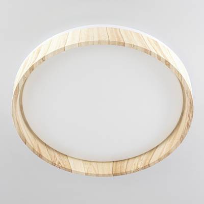 Citilux ENZO CL753352G LED RGB Светильник с пультом Клён