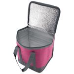 Термосумка CB-159, 13л., р-р: 25x20x28см