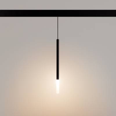 Светильник MAG-ORIENT-STICK-HANG-R20-6W Warm3000 (BK, 180 deg, 48V) (Arlight, IP20 Металл, 5 лет)