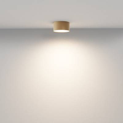 Потолочный светильник Zon 3000K 12W 120°, C032CL-12W3K-RD-MG. TM Maytoni