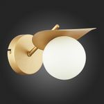 SLE220501-01 Бра Золотистый/Белый G9 1*5W