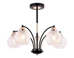 Подвесная люстра TR9011/5 BK/TI черный/прозрачный E27 max 40W D620*500