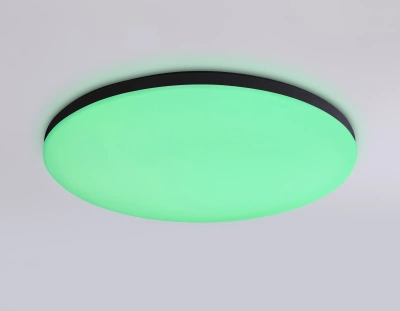Потолочный светодиодный светильник с Wi-Fi Яндекс Алисой/Tuya/Smart Home/Alexa FZ2004 BK черный IP54 20W 3000K-6500K+RGB D300*55 (ПДУ ИК)