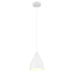 Подвесной светильник Arte Lamp BRACCIO A2054SP-1WH, 1хE27