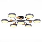 SLE6006-702-07 Светильник потолочный Серый/Серый LED 7*12W 3000K/4500K/6000K