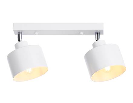 Настенно-потолочный спот в стиле лофт TR8141/2  WH белый E27*2 max 40W 340*120*180
