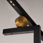 Напольный светильник (торшер) Empathy 3000К 26Вт, MOD363FL-L14B3K. TM Maytoni