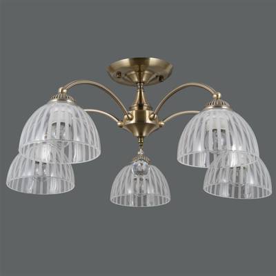 IL0564-5CSQ-25AB ELITE светильник потолочный