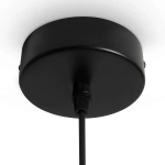 Подвесной светильник Swim FR6187PL-L9SM, LED. TM Maytoni
