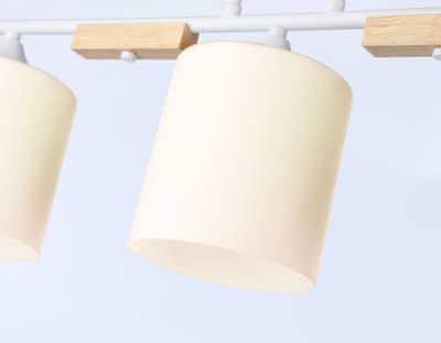 Светильник подвесной TR9546/3 WH/FR белый/белый матовый E27/3 max 40W 595*115*280